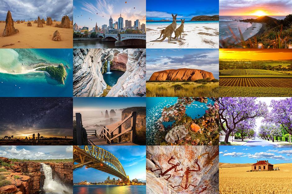 The wonders of Oz